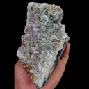 specimen video