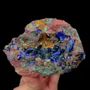 specimen video