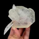 specimen video