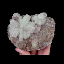 Natural Floral Gypsum, Mineral Specimen:Guizhou,China (105*80*40MM) - image 5