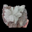 Natural Floral Gypsum, Mineral Specimen:Guizhou,China (105*80*40MM) - image 3