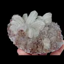 Natural Floral Gypsum, Mineral Specimen:Guizhou,China (105*80*40MM) - image 4