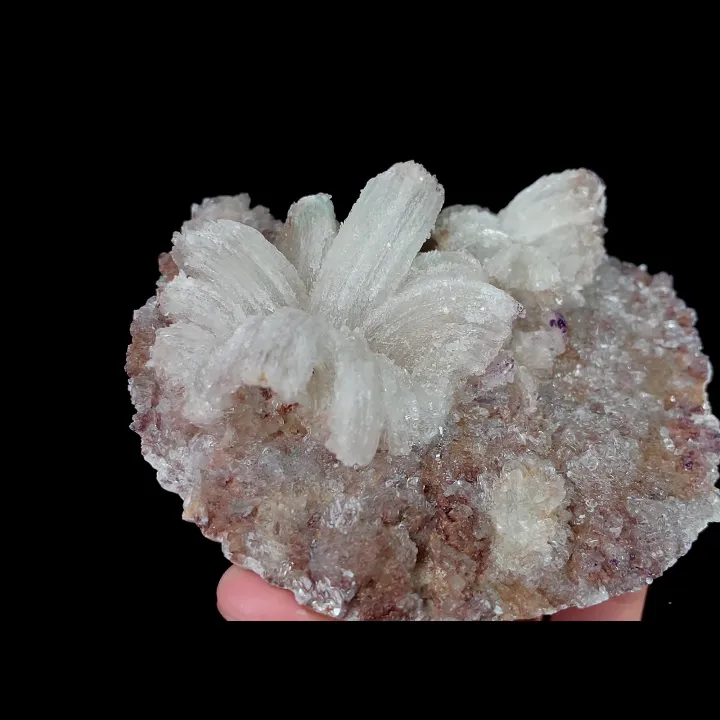 Natural Floral Gypsum, Mineral Specimen:Guizhou,China (105*80*40MM) image