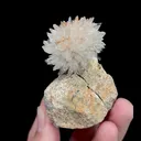 Natural Floral Gypsum, Mineral Specimen:Guizhou,China (40*40*70MM) - image 4