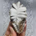 Natural Flower Gypsum comes from Guizhou,China 40*75*25MM - image 4