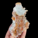 Natural Flower Shaped Gypsum and Quartz Cluster, Mineral Specimen:Guizhou,China (75*95*25MM) - image 2