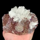 specimen video