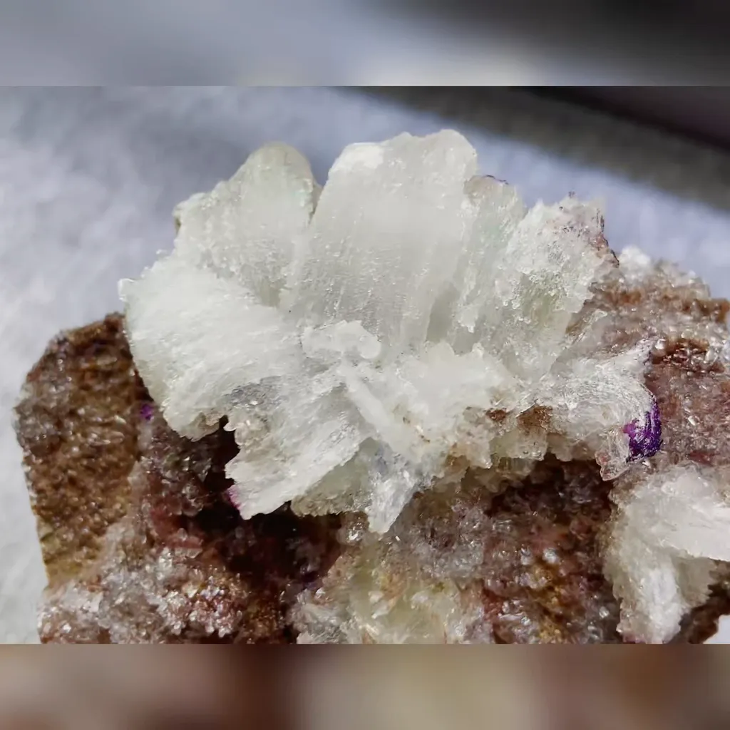 Natural Flower-Shaped Gypsum comes from Guizhou,China 120*85*55MM - image 4