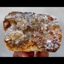specimen video