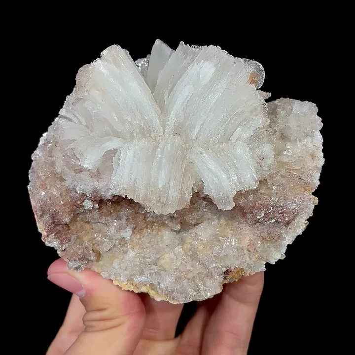 Natural Flower-Shaped Gypsum, Mineral Specimen:Guizhou,China (100*90*50MM) - image 6