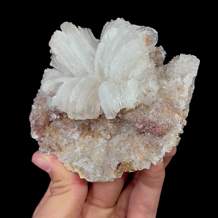 Natural Flower-Shaped Gypsum, Mineral Specimen:Guizhou,China (100*90*50MM) image