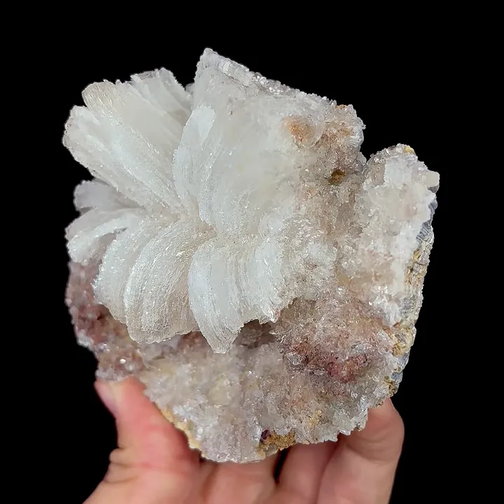 Natural Flower-Shaped Gypsum, Mineral Specimen:Guizhou,China (100*90*50MM) - image 4