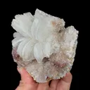 Natural Flower-Shaped Gypsum, Mineral Specimen:Guizhou,China (100*90*50MM) - image 4