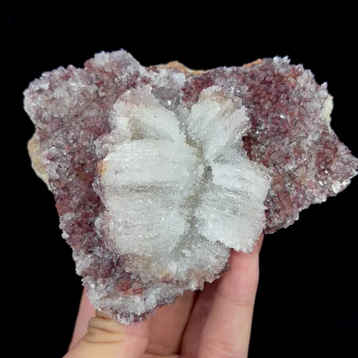 Natural Flower Shaped Gypsum, Mineral Specimen:Guizhou,China (110*90*50MM) image