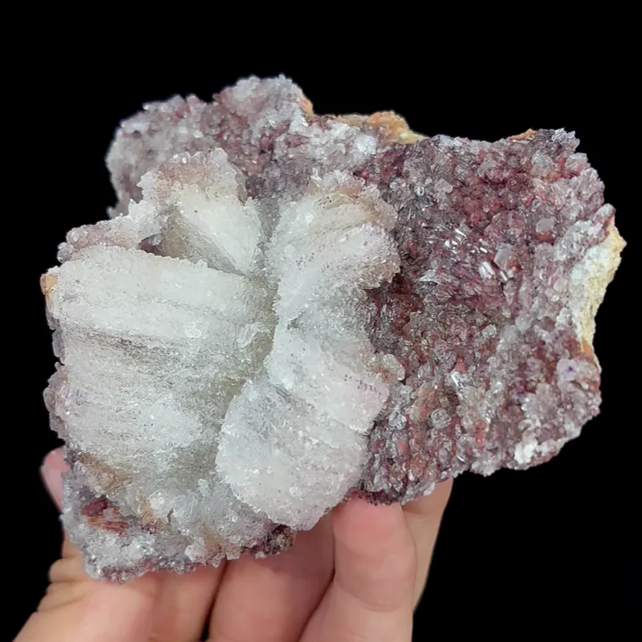 Natural Flower Shaped Gypsum, Mineral Specimen:Guizhou,China (110*90*50MM) - image 4