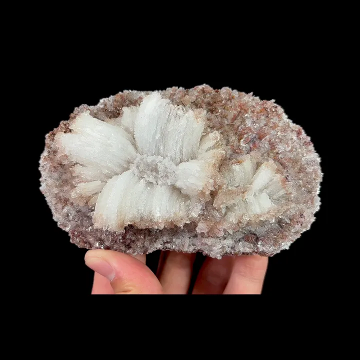 Natural Flower-Shaped Gypsum, Mineral Specimen:Guizhou,China (120*75*40MM) - image 4