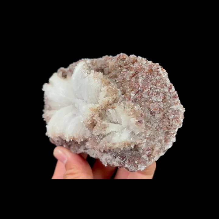 Natural Flower-Shaped Gypsum, Mineral Specimen:Guizhou,China (120*75*40MM) - image 3