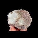 Natural Flower-Shaped Gypsum, Mineral Specimen:Guizhou,China (120*75*40MM) - image 3