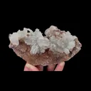 Natural Flower Shaped Gypsum, Mineral Specimen:Guizhou,China (145*75*45MM) - image 4