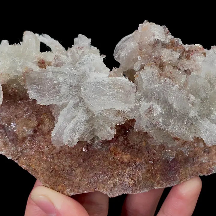 Natural Flower Shaped Gypsum, Mineral Specimen:Guizhou,China (145*75*45MM) - image 3