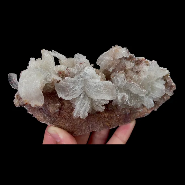 Natural Flower Shaped Gypsum, Mineral Specimen:Guizhou,China (145*75*45MM) image