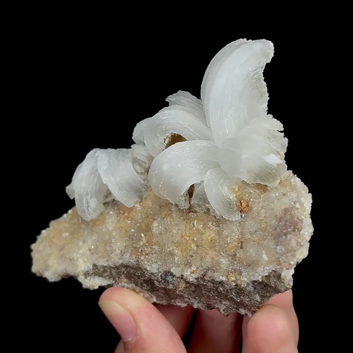 Natural Flower-Shaped Gypsum, Mineral Specimen:Guizhou,China (90*70*30MM) image