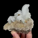 Natural Flower-Shaped Gypsum, Mineral Specimen:Guizhou,China (90*70*30MM) - image 2