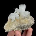 Natural Flower-Shaped Gypsum, Mineral Specimen:Guizhou,China (90*70*30MM) - image 3