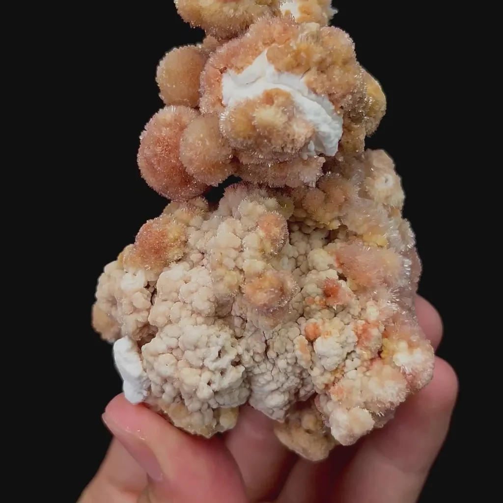 specimen video