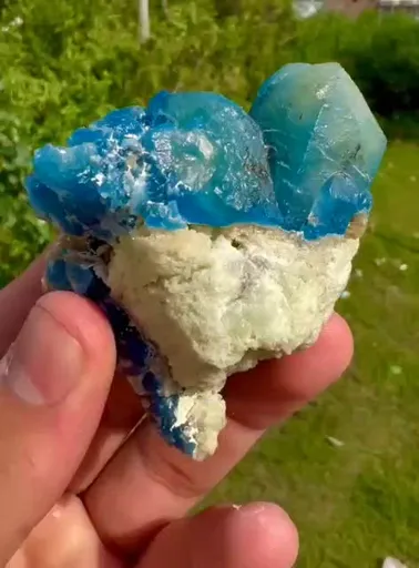 specimen video