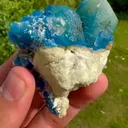 specimen video