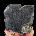 specimen video