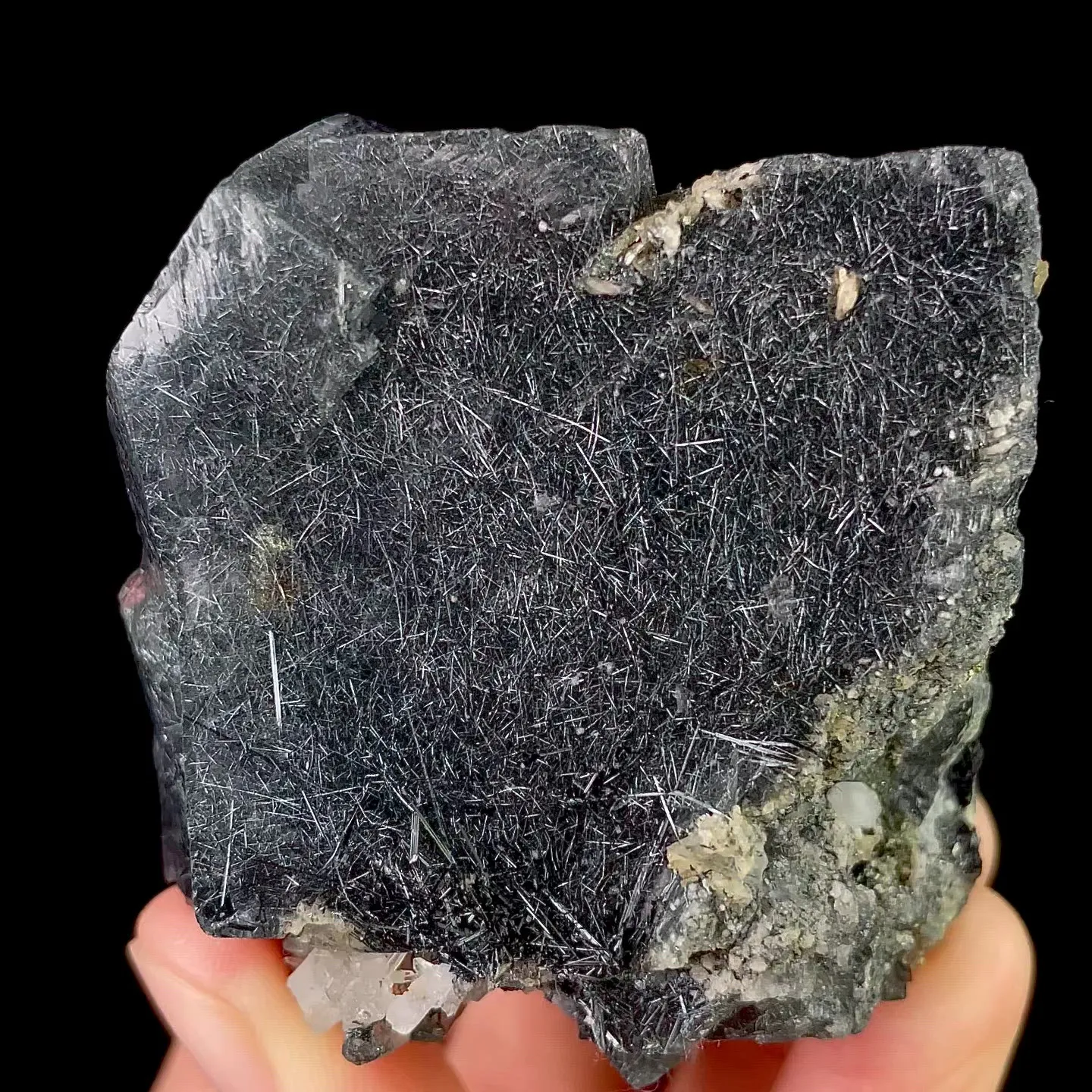 specimen video