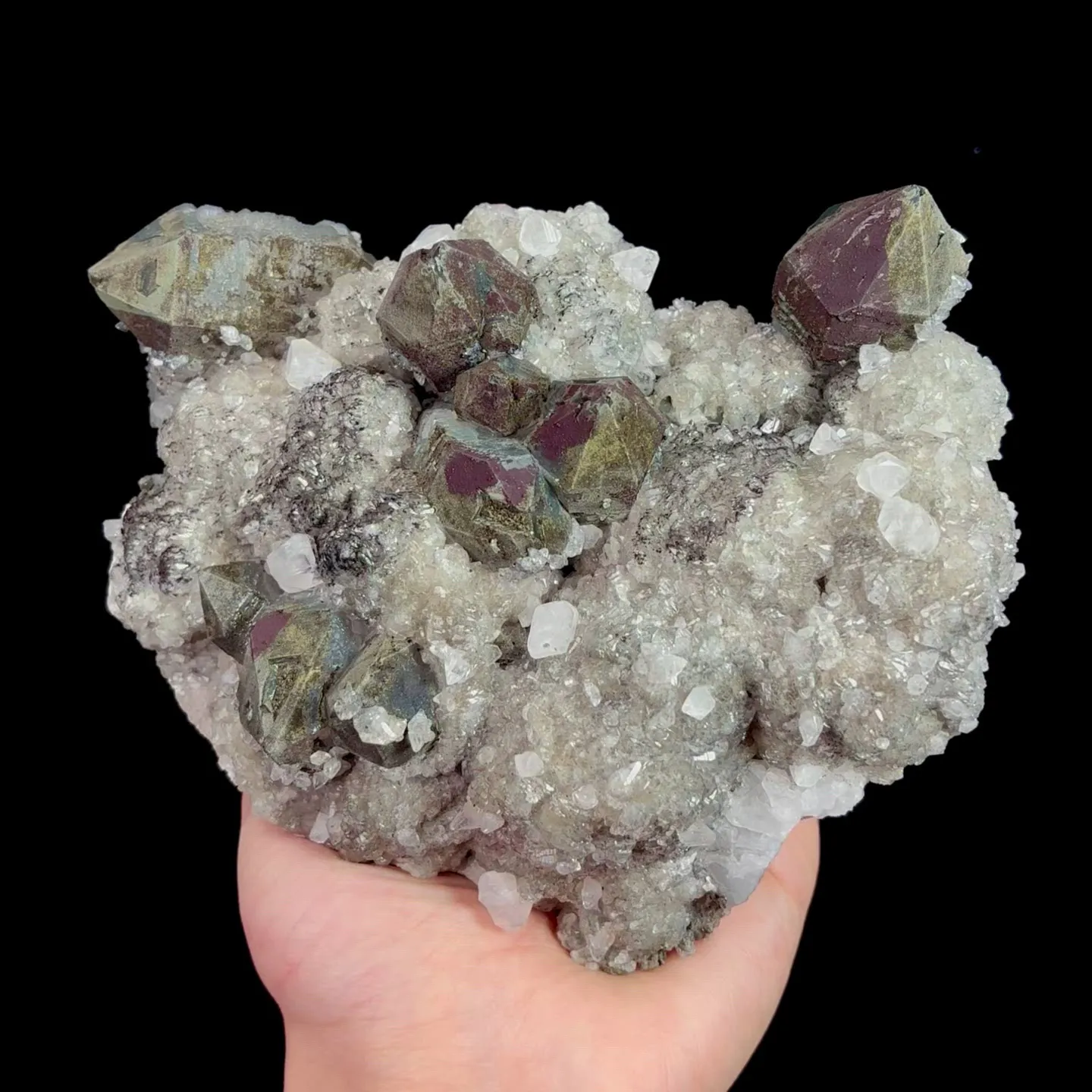 specimen video