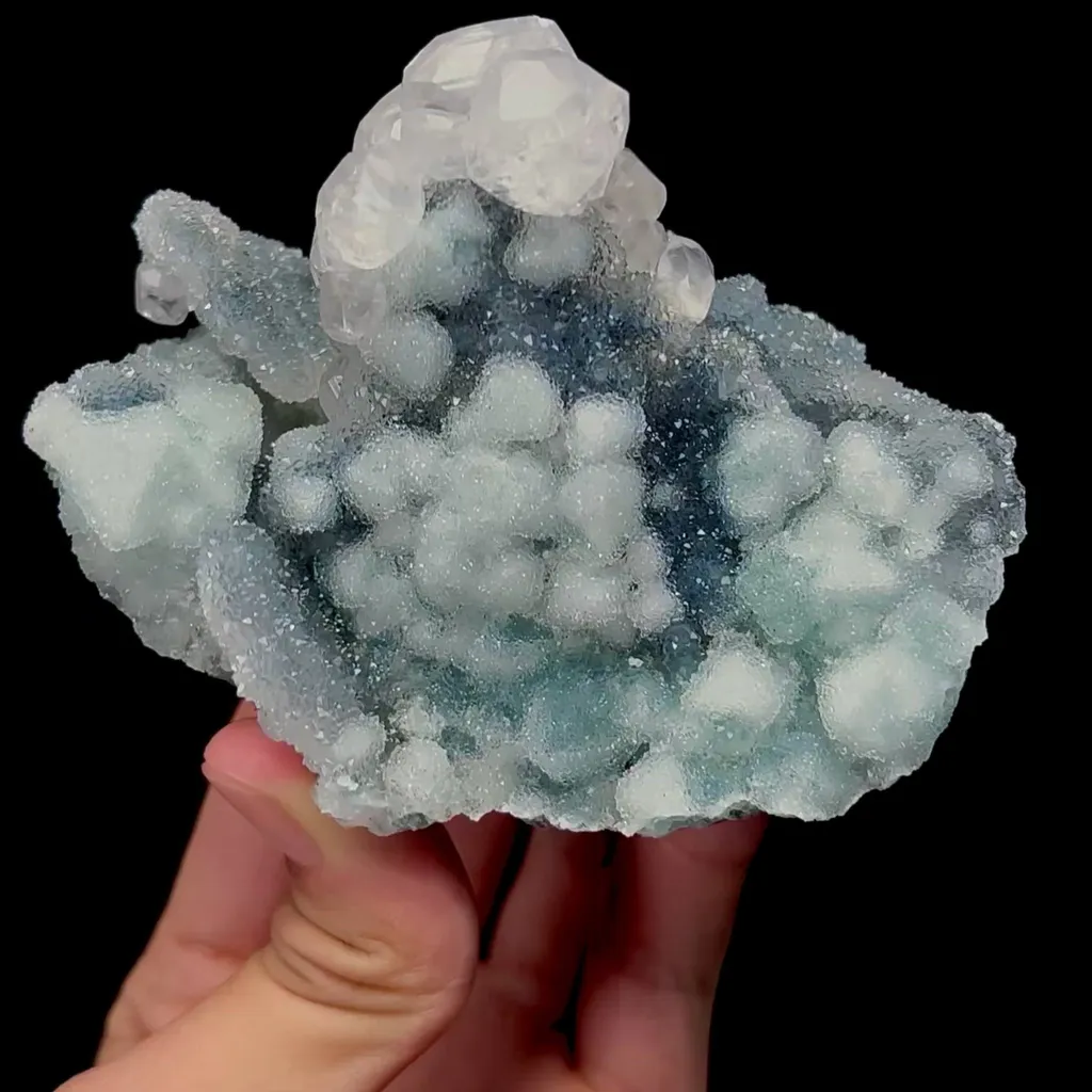 specimen video