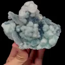 specimen video
