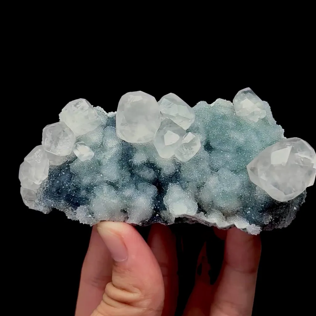 specimen video