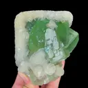 specimen video