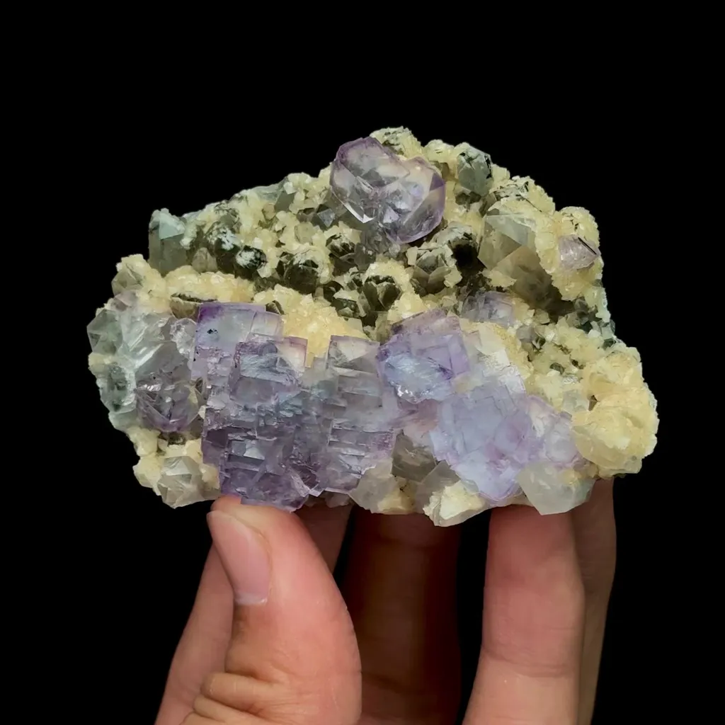 specimen video