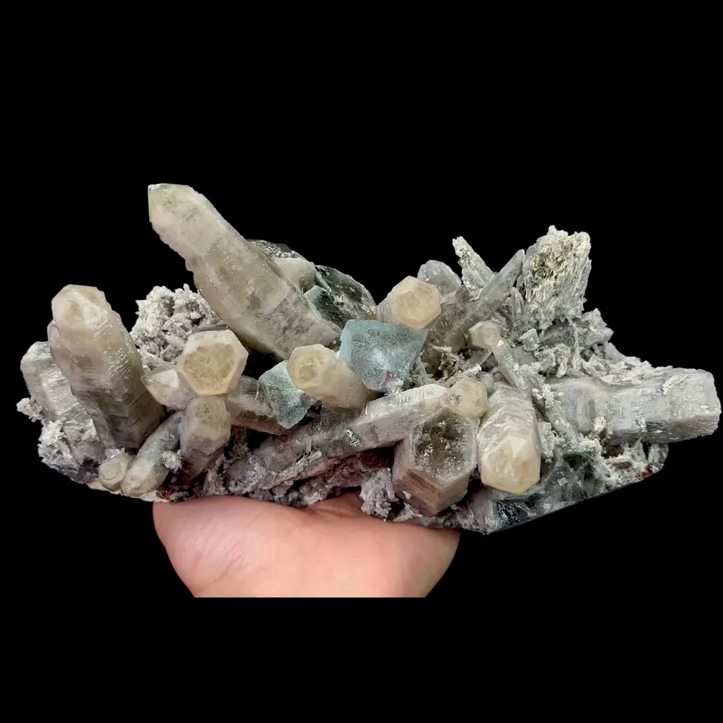 specimen video