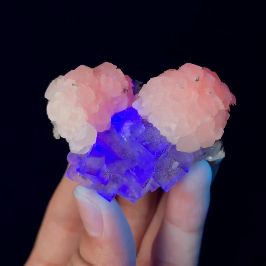 specimen video