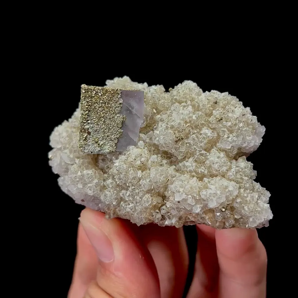 specimen video