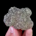 specimen video
