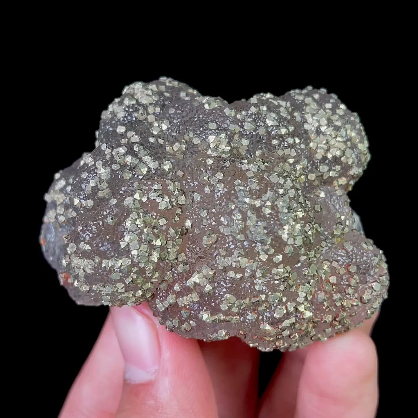 specimen video