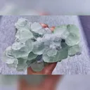 Natural Fluorite and Quartz comes from Fujian,China 160*115*60MM - image 3