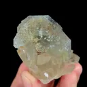 specimen video