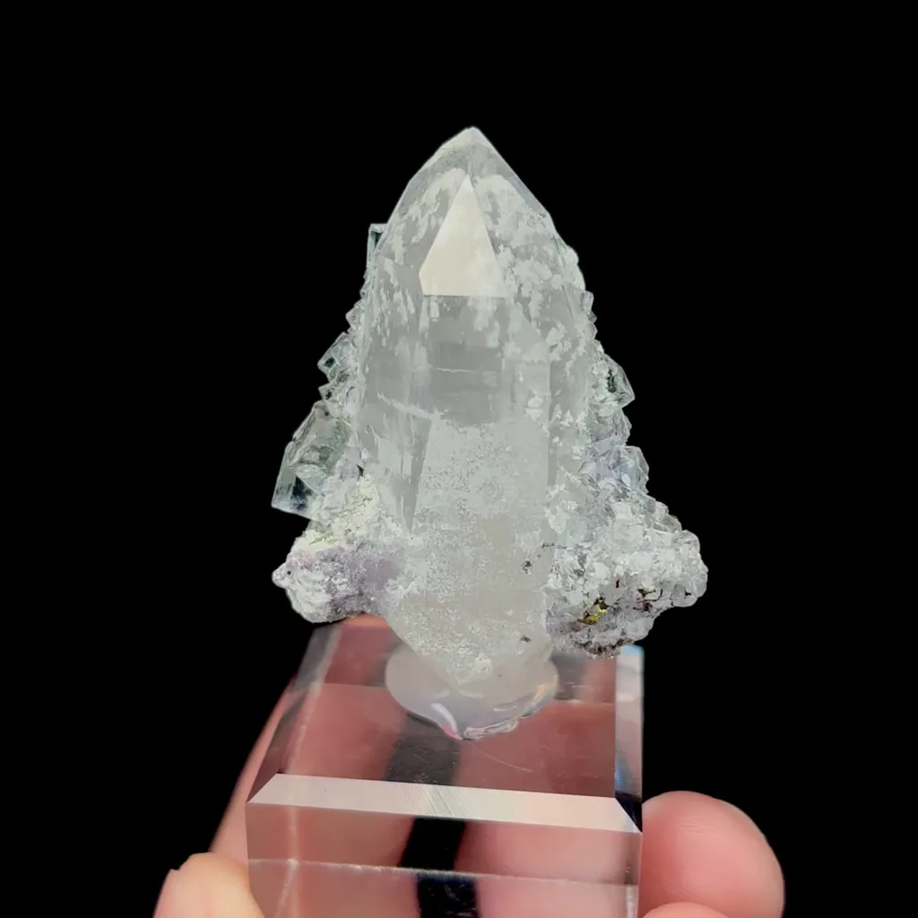 specimen video