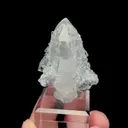specimen video
