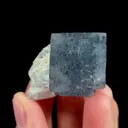 specimen video