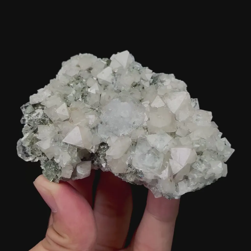 specimen video